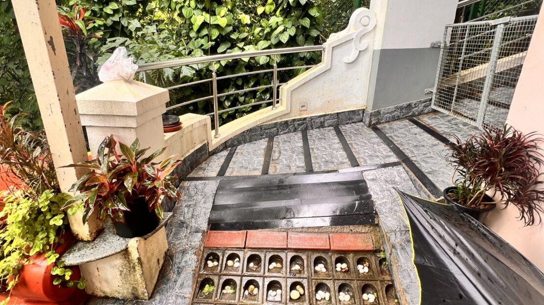 Casa Zaranna (Goa)
